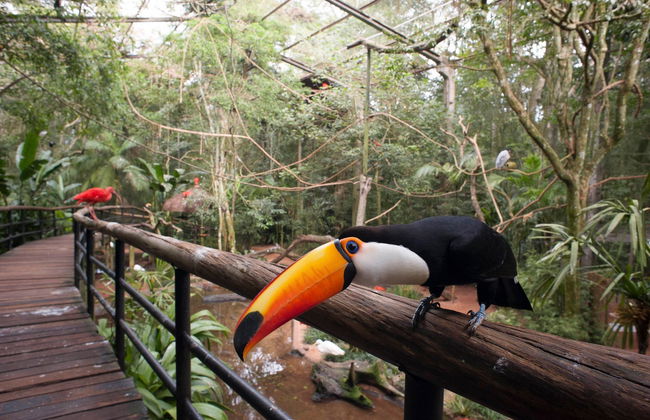 Parque das Aves Ticket - Photo 2